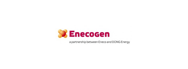 Logo Enecogen - Kalibratie en vervanging van vibratieprobes bij servicestop Enecogen